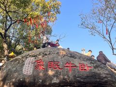 -灵岩山风景区