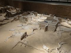 -洛阳周王城天子驾六博物馆