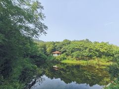 -汤山温泉房车营地 茶温泉
