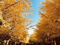 -辽宁大学(崇山校区)