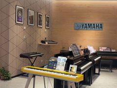 -知音艺术教育培训·钢琴培训·音乐培训(河西金鹰世界校区)