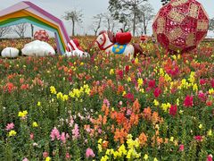 -芒洲湿地公园