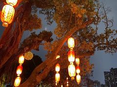 -荔湾湖公园