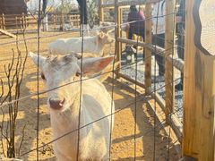 -茅山东方盐湖城景区