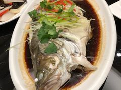 -好妈王饺子(滂江街店)