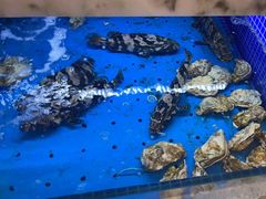 -香山湖渔家大院