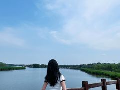 -西青郊野公园