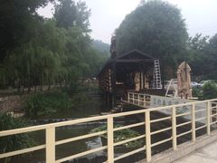 -Local泰莲庭(虹鳟鱼店)