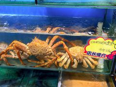 -蚝专家(北滘店)