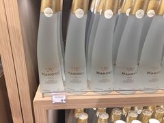 -谢列梅捷沃国际机场