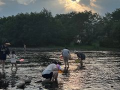 -楠溪江风景名胜区