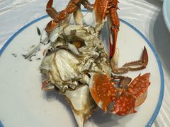 -东夷海鲜巨无霸(东夷小镇店)