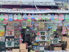 -溪岸路花鸟市场