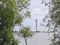 -上海吴淞炮台湾国家湿地公园