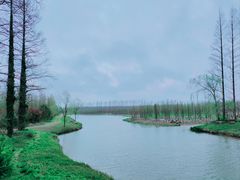 -黄海国家森林公园