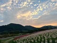 -径山花海