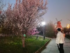 -绿岛公园(滨海新区)