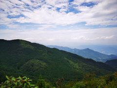 -武陵山森林公园