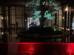 -上海崇明金茂凯悦酒店