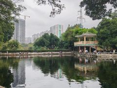-晓港公园