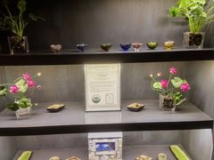 -樱蘭全息养生馆(三里屯店)