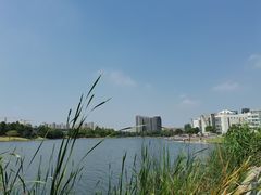 -美兰湖景区