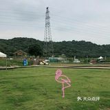夏日游玩——阿菠萝小猪王国