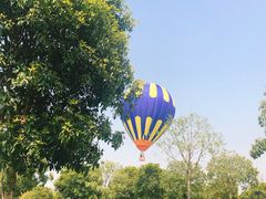 -武汉紫薇都市田园