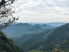 -莫干山风景区