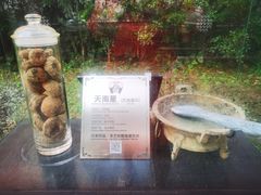 -广州神农草堂中医药博物馆