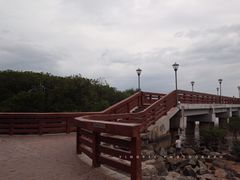 -宝安西湾红树林湿地公园