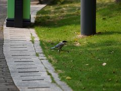 -苏州河梦清园环保主题公园