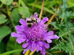 -白草畔自然风景区