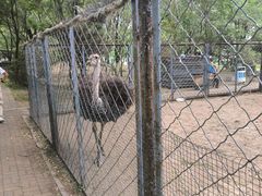 -长白岛森林公园