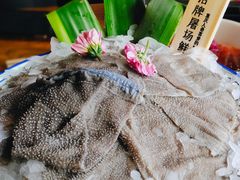 -九鼎轩脆毛肚火锅(三钢里店)