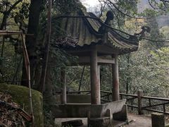 -莫干山风景区