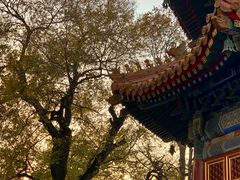 -北京艺术博物馆(万寿寺)