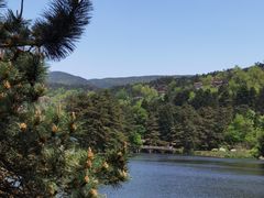 -庐山风景区花径公园