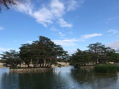 -景福宫