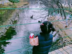 -长白岛森林公园