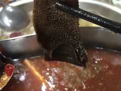 毛肚-满天星太珍火锅