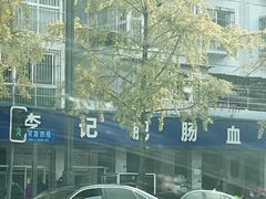 -大邑李记肥肠血旺