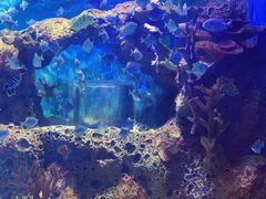 -多彩贵州城极地海洋世界