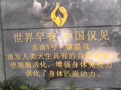 -张家港金凤凰度假村温泉