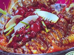 -老板恋上鱼(恒隆广场店)