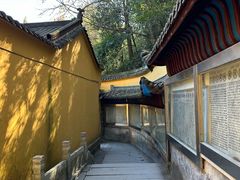 -九华山风景区月身宝殿