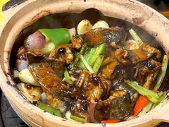 -天宝食坊·啫啫煲大排档(西华路店)