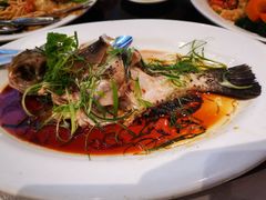 -Sun World Chinese Restaurant 新世界海鲜酒家