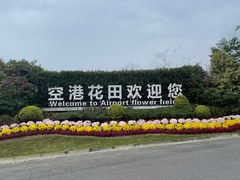-空港花田景区