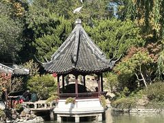 -上海醉白池公园